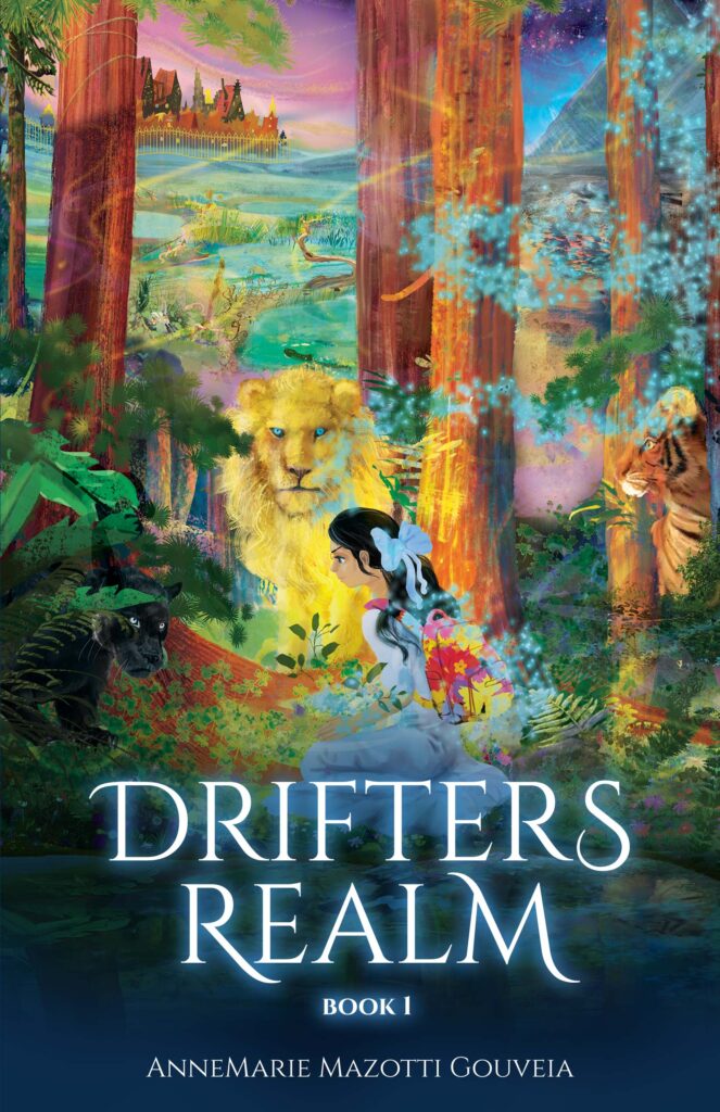 The front cover of Drifter's Realm